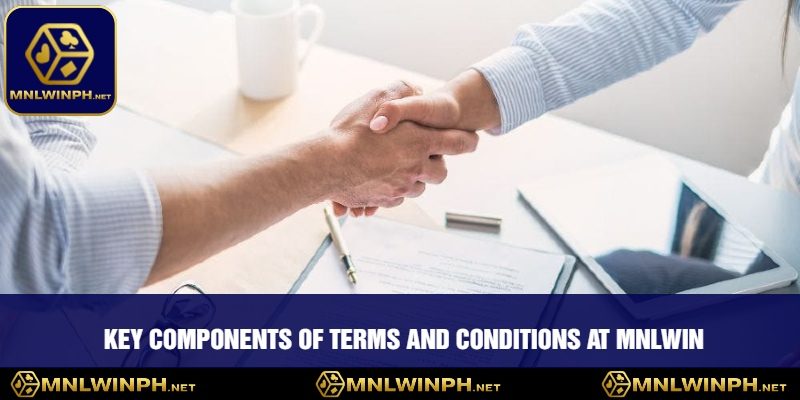 The Terms And Conditions At MNLWIN - What You Need To Know For A Safe Experience 2 Key Components of Terms and Conditions at MNLWIN